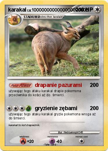 Pokemon karakal