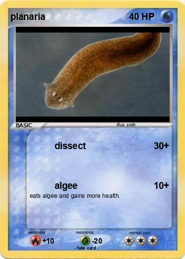 Pokemon planaria