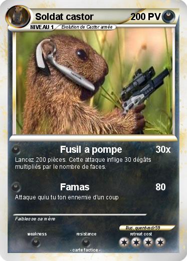 Pokemon Soldat castor