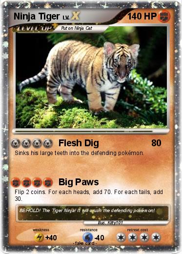 Pokemon Ninja Tiger