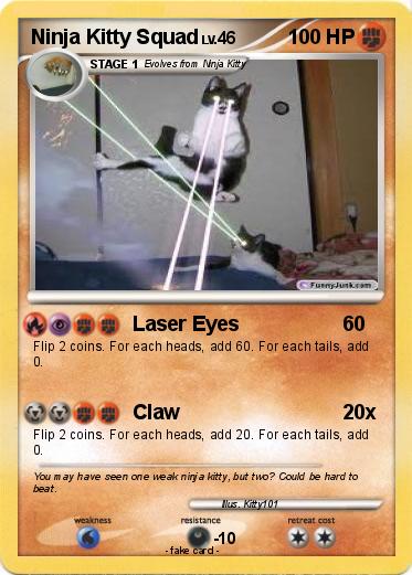 Pokemon Ninja Kitty Squad