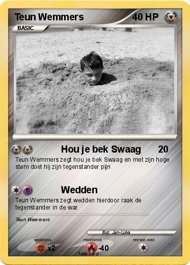 Pokemon Teun Wemmers