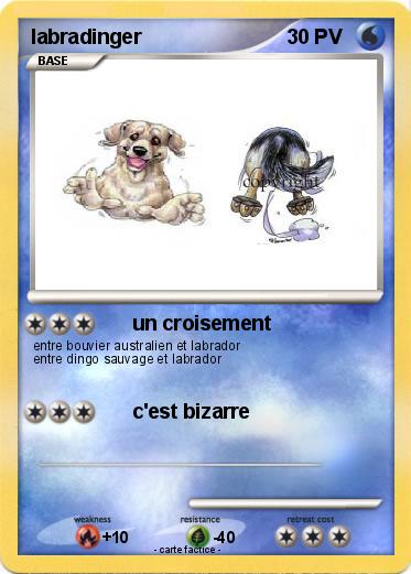 Pokemon labradinger