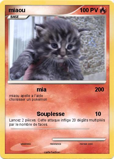 Pokemon miaou