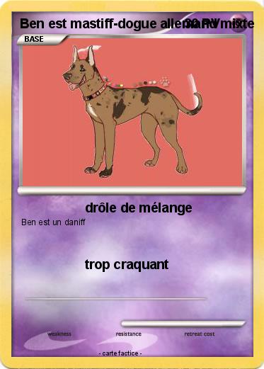 Pokemon Ben est mastiff-dogue allemand mixte