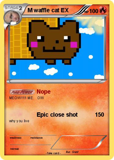 Pokemon M waffle cat EX