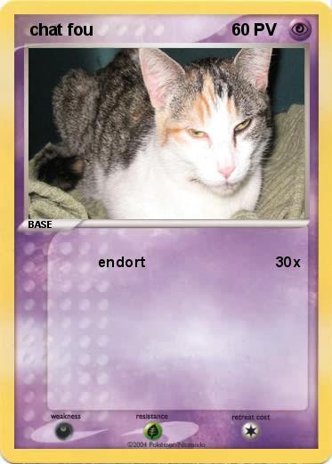 Pokemon  chat fou