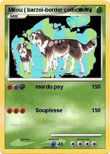Pokemon Milou ( barzoi-border collie mix )