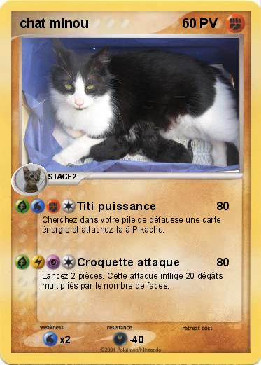 Pokemon chat minou