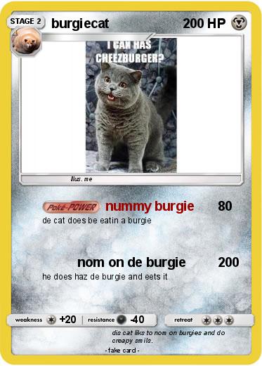 Pokemon burgiecat