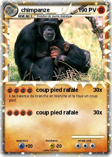 Pokemon chimpanze