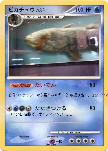 Pokemon ピカチュウ