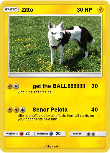 Pokemon Zitto