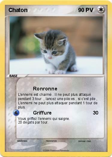 Pokemon Chaton