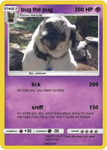 Pokemon bug the pug