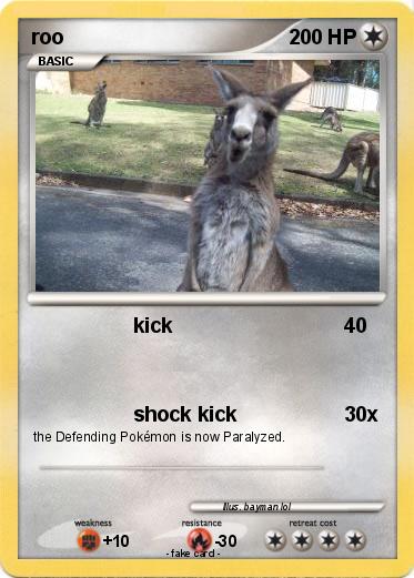 Pokemon roo