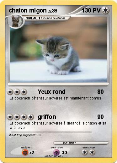 Pokemon chaton migon