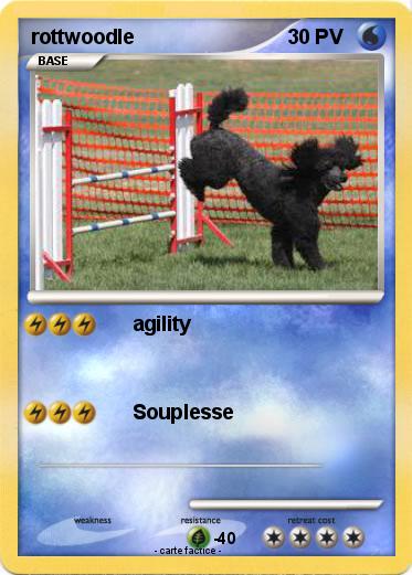 Pokemon rottwoodle
