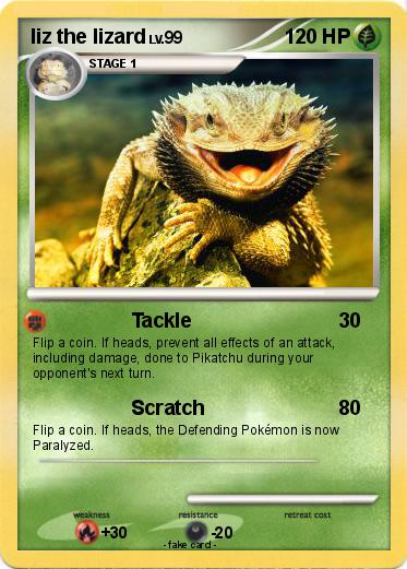 Pokemon liz the lizard