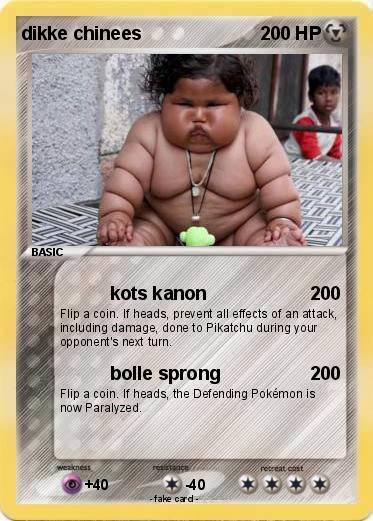 Pokemon dikke chinees