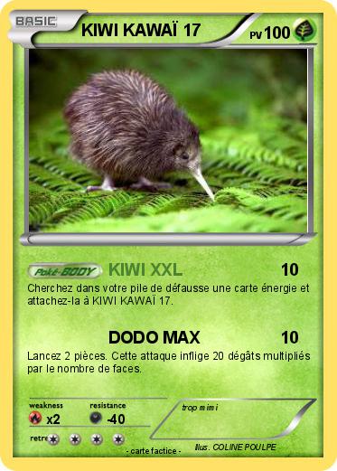 Pokemon KIWI KAWAÏ 17