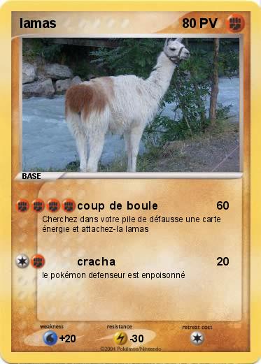 Pokemon lamas