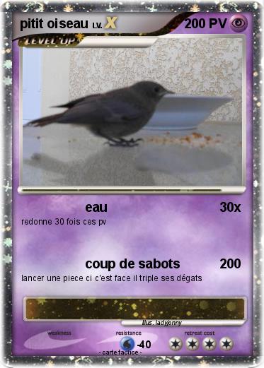 Pokemon pitit oiseau