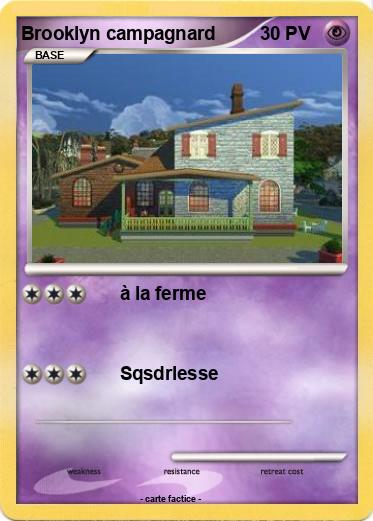 Pokemon Brooklyn campagnard