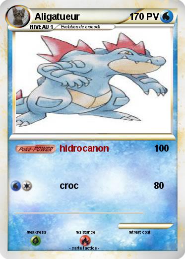 Pokemon Aligatueur
