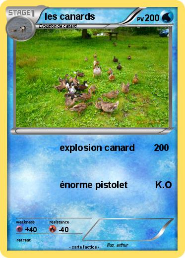 Pokemon les canards