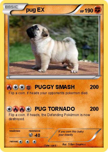 Pokemon pug EX