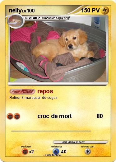 Pokemon nelly