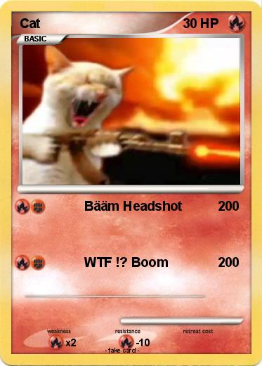 Pokemon Cat