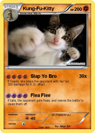 Pokemon Kung-Fu-Kitty