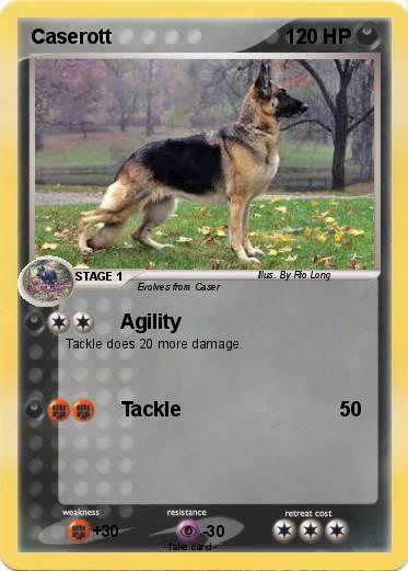 Pokemon Caserott
