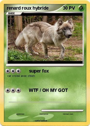 Pokemon renard roux hybride