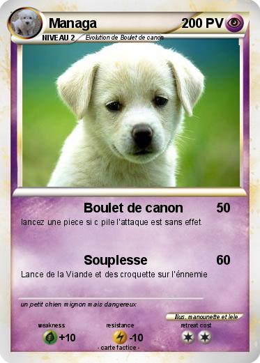 Pokemon Managa