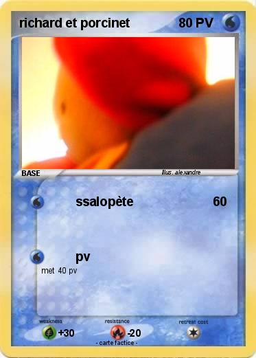 Pokemon richard et porcinet