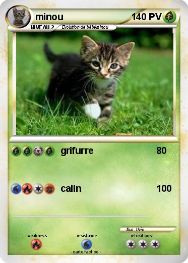 Pokemon minou