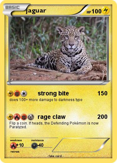 Pokemon jaguar