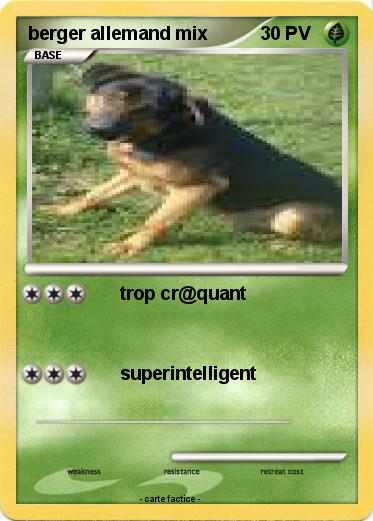 Pokemon berger allemand mix