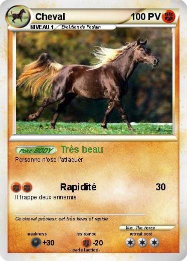 Pokemon Cheval