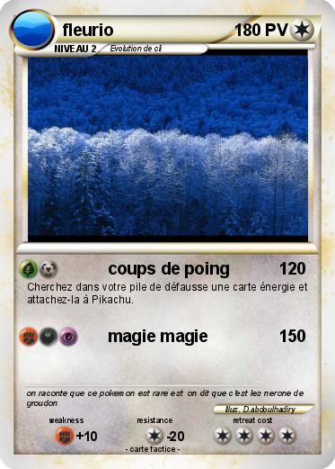 Pokemon fleurio