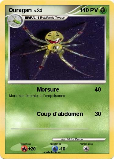 Pokemon Ouragan