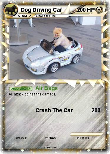 Pokemon Dog Driving Car