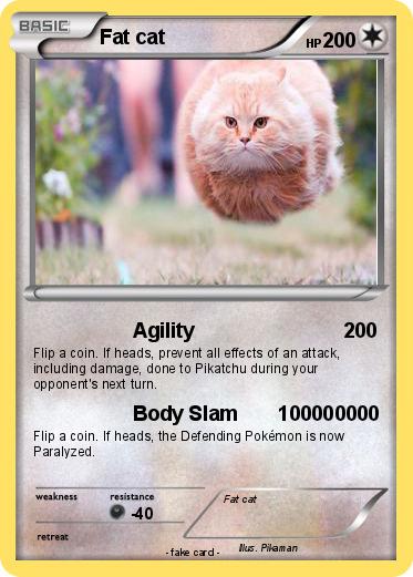 Pokemon Fat cat