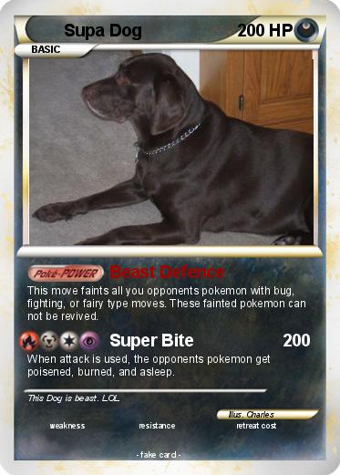 Pokemon Supa Dog