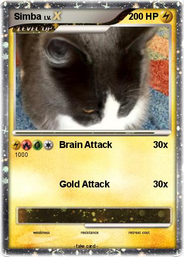 Pokemon Simba