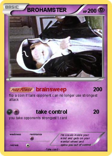 Pokemon BROHAMSTER