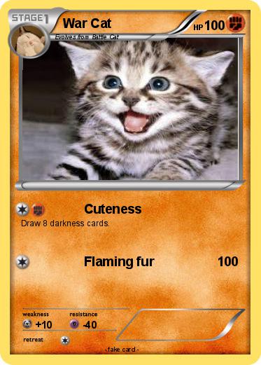 Pokemon War Cat